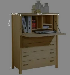 85x110x43 Schrank mit Schreibklappe - Settsura