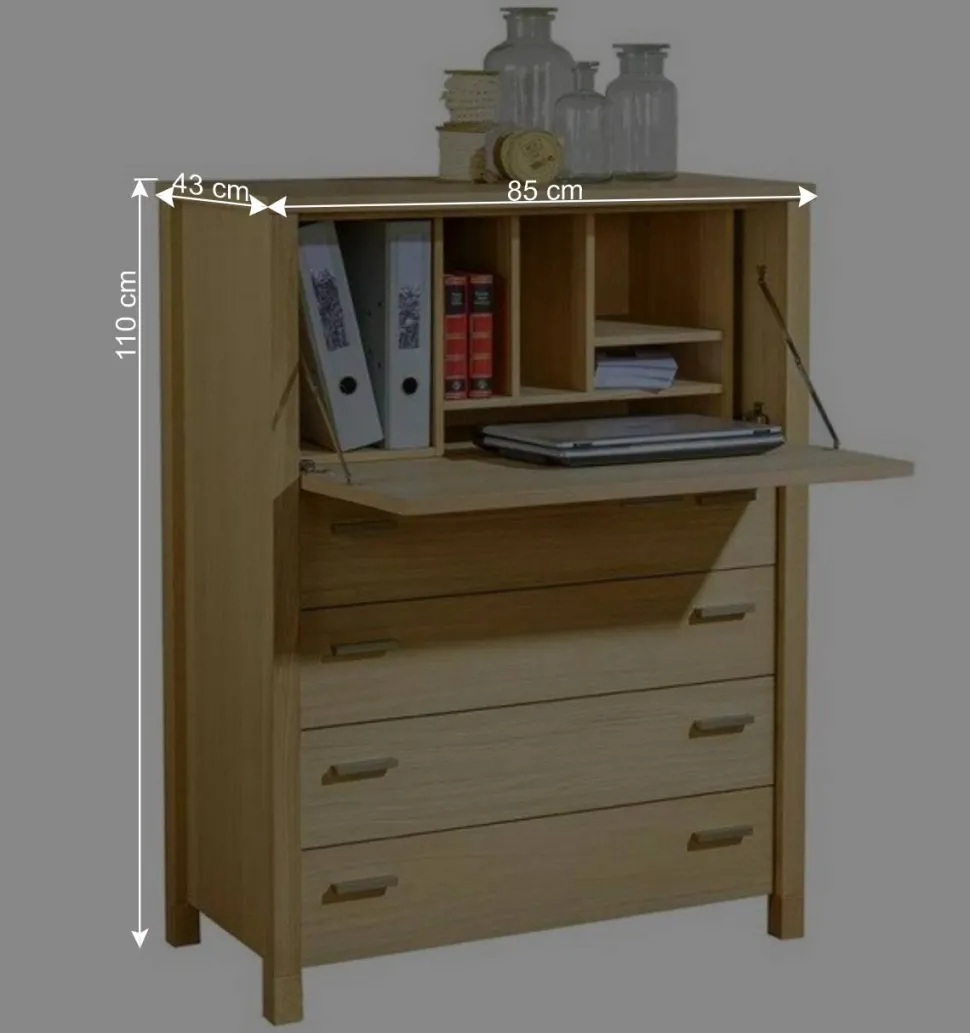 85x110x43 Schrank mit Schreibklappe - Settsura