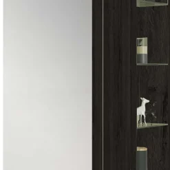 63x180x35 Schuh Schrank in Schwarzgrau - Raven