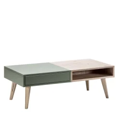 Zweifarbiger Wohnzimmertisch mit Stauraum - Ajevos